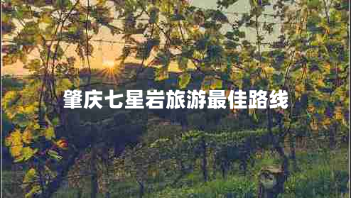 肇慶七星巖旅游最佳路線 肇慶七星巖旅游最佳路線