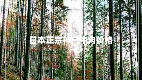 日本正宗神戶牛肉價格