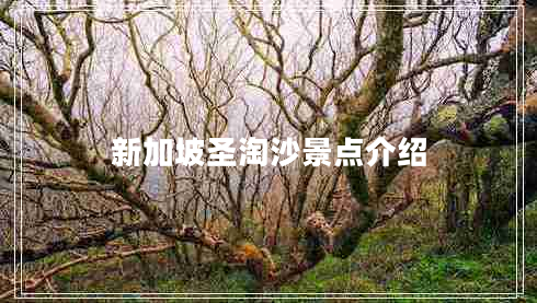 新加坡圣淘沙景點(diǎn)介紹 新加坡圣淘沙景點(diǎn)介紹