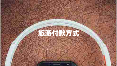 旅游付款方式 旅游付款方式