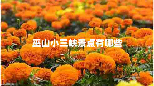 巫山小三峽景點有哪些 巫山小三峽景點有哪些