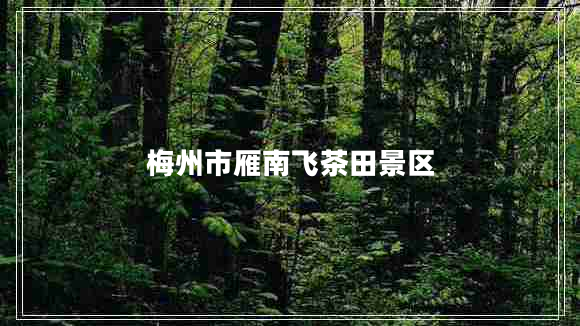 梅州市雁南飛茶田景區(qū)