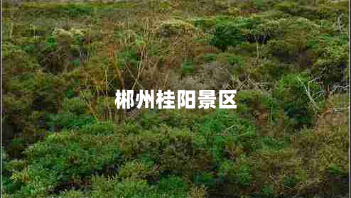 郴州桂陽景區(qū) 郴州桂陽景區(qū)