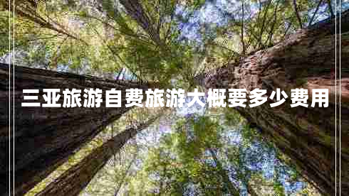 三亞旅游自費旅游大概要多少費用 三亞旅游自費旅游大概要多少費用