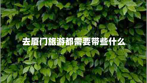 去廈門旅游都需要帶些什么 去廈門旅游都需要帶些什么