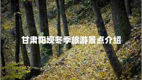 甘肅陽(yáng)壩冬季旅游景點(diǎn)介紹