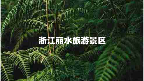 浙江麗水旅游景區(qū) 浙江麗水旅游景區(qū)