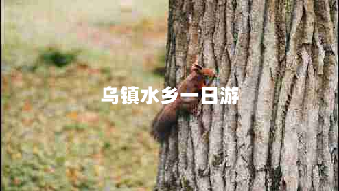 烏鎮(zhèn)水鄉(xiāng)一日游 烏鎮(zhèn)水鄉(xiāng)一日游