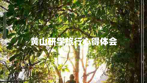 黃山研學(xué)旅行心得體會(huì) 黃山研學(xué)旅行心得體會(huì)