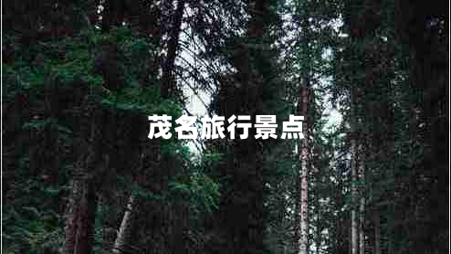 茂名旅行景點(diǎn) 茂名旅行景點(diǎn)