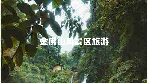金佛山風(fēng)景區(qū)旅游