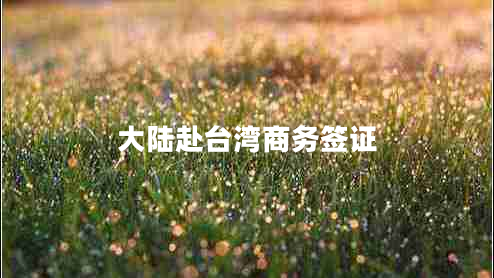 大陸赴臺灣商務(wù)簽證