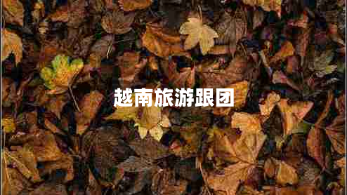 越南旅游跟團(tuán)