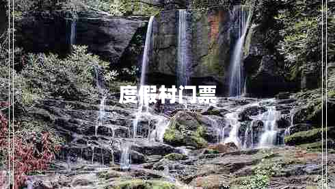 度假村門票 度假村門票