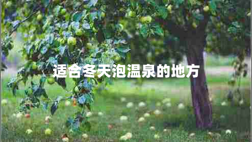 適合冬天泡溫泉的地方 適合冬天泡溫泉的地方