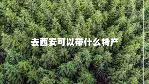去西安可以帶什么特產(chǎn) 去西安可以帶什么特產(chǎn)