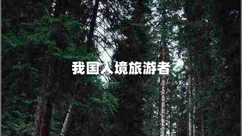 我國入境旅游者