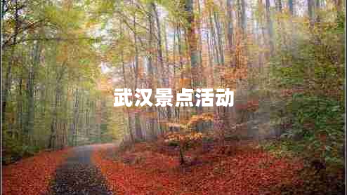 武漢景點(diǎn)活動(dòng) 武漢景點(diǎn)活動(dòng)