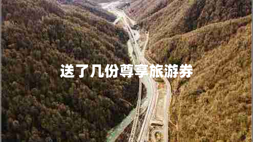 送了幾份尊享旅游券 送了幾份尊享旅游券