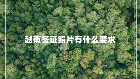 越南簽證照片有什么要求 越南簽證照片有什么要求