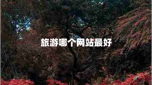 旅游哪個網(wǎng)站最好 旅游哪個網(wǎng)站最好