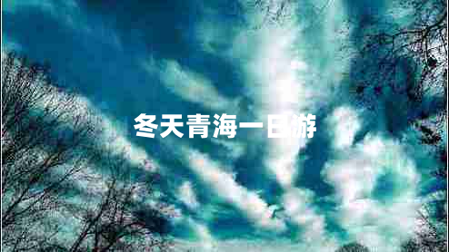 冬天青海一日游 冬天青海一日游