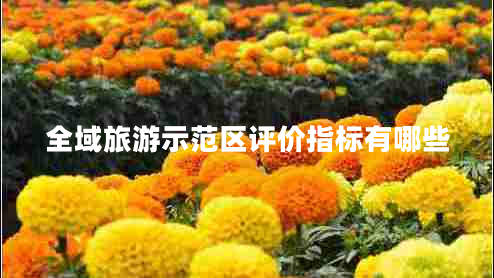 全域旅游示范區(qū)評價(jià)指標(biāo)有哪些