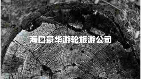 海口豪華游輪旅游公司 ??诤廊A游輪旅游公司