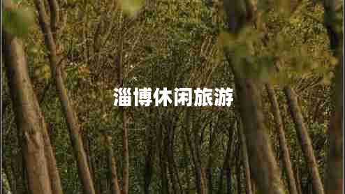 淄博休閑旅游 淄博休閑旅游