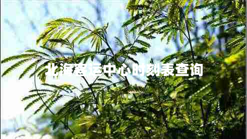北?？瓦\(yùn)中心時(shí)刻表查詢