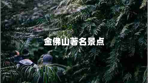 金佛山著名景點(diǎn)