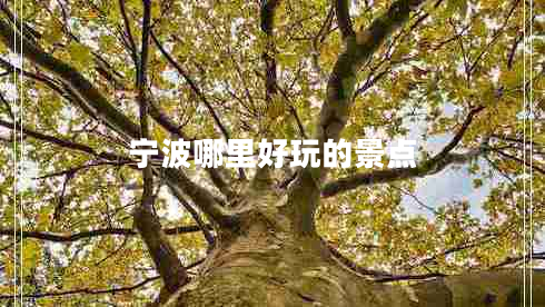 寧波哪里好玩的景點(diǎn) 寧波哪里好玩的景點(diǎn)