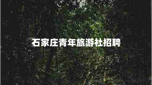 石家莊青年旅游社招聘