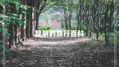 昆明的旅行百科