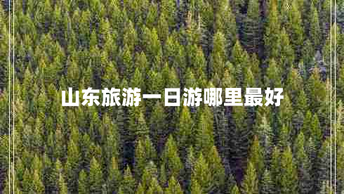 山東旅游一日游哪里最好