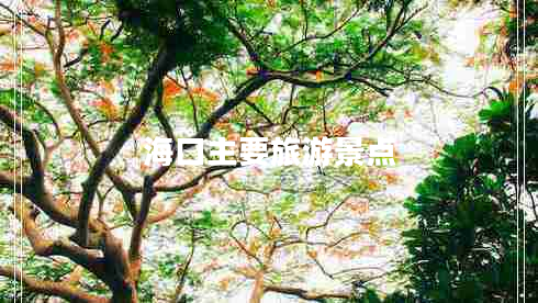 ?？谥饕糜尉包c(diǎn)