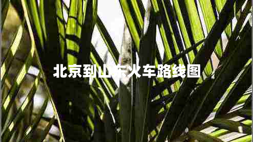北京到山東火車路線圖