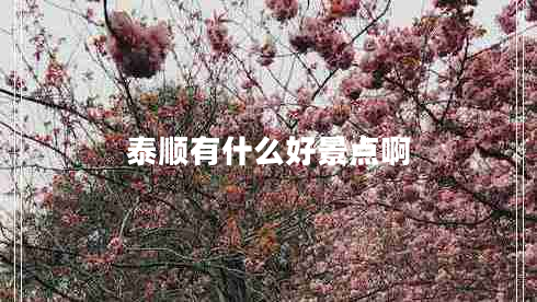 泰順有什么好景點(diǎn)啊