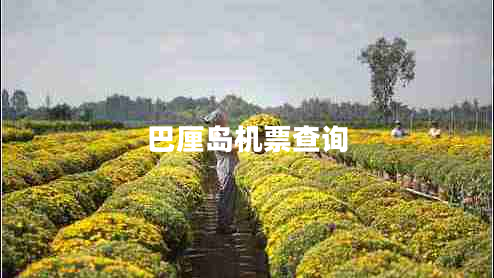 巴厘島機(jī)票查詢(xún)