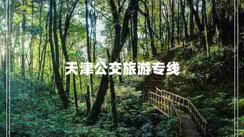 天津公交旅游專線 天津公交旅游專線