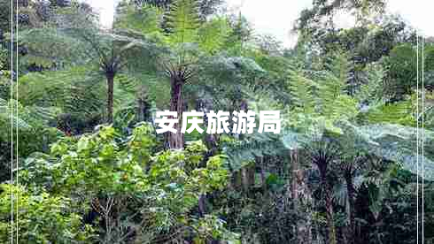 安慶旅游局