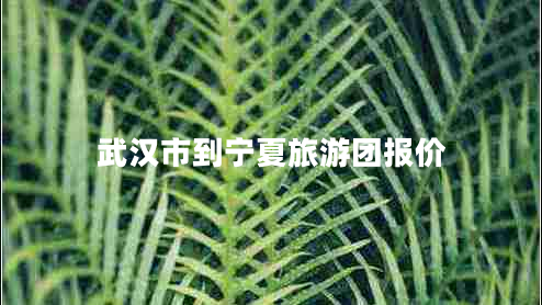 武漢市到寧夏旅游團(tuán)報(bào)價(jià) 武漢市到寧夏旅游團(tuán)報(bào)價(jià)
