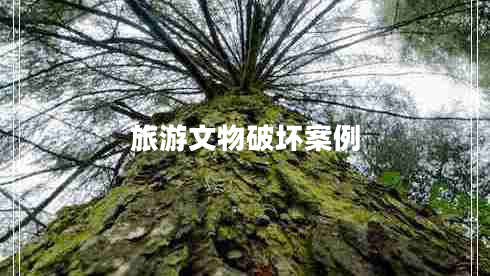 旅游文物破壞案例 旅游文物破壞案例