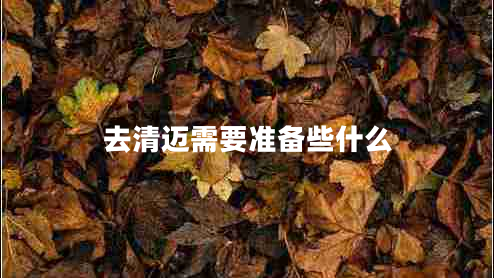去清邁需要準(zhǔn)備些什么 去清邁需要準(zhǔn)備些什么