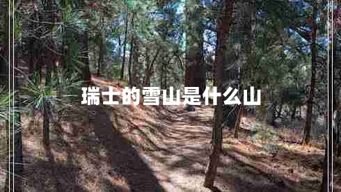 瑞士的雪山是什么山