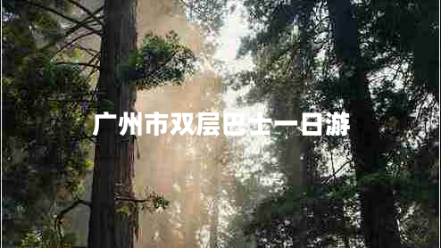 廣州市雙層巴士一日游 廣州市雙層巴士一日游