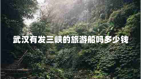 武漢有發(fā)三峽的旅游船嗎多少錢