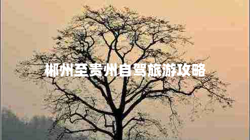 郴州至貴州自駕旅游攻略