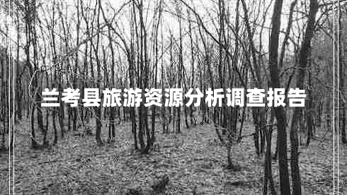 蘭考縣旅游資源分析調(diào)查報(bào)告 蘭考縣旅游資源分析調(diào)查報(bào)告