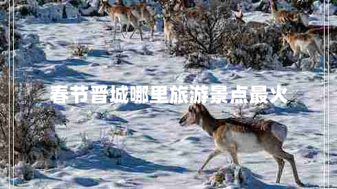 春節(jié)晉城哪里旅游景點最火 春節(jié)晉城哪里旅游景點最火